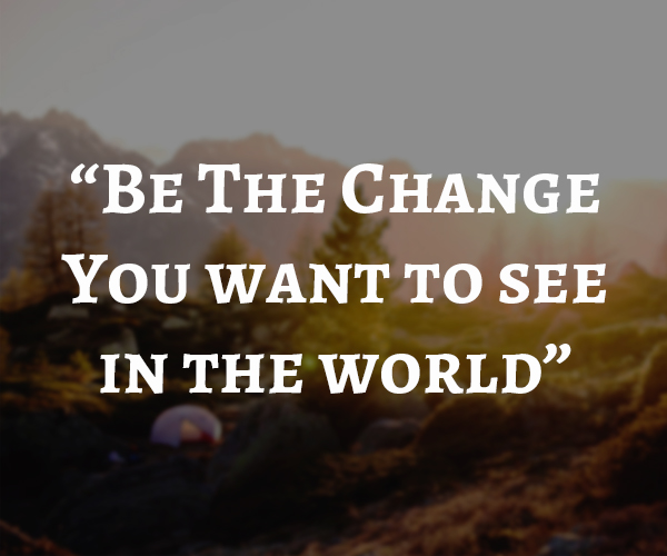 Top Selling Multipurpose WP Theme